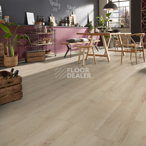 Kronotex Exquisit 8мм d80922 Дуб Бельведер фото 4 | FLOORDEALER